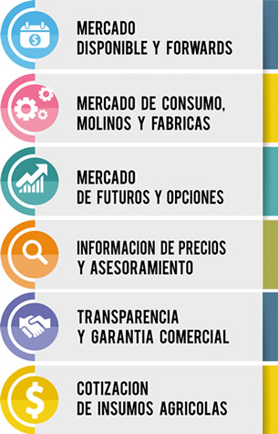 img-portada